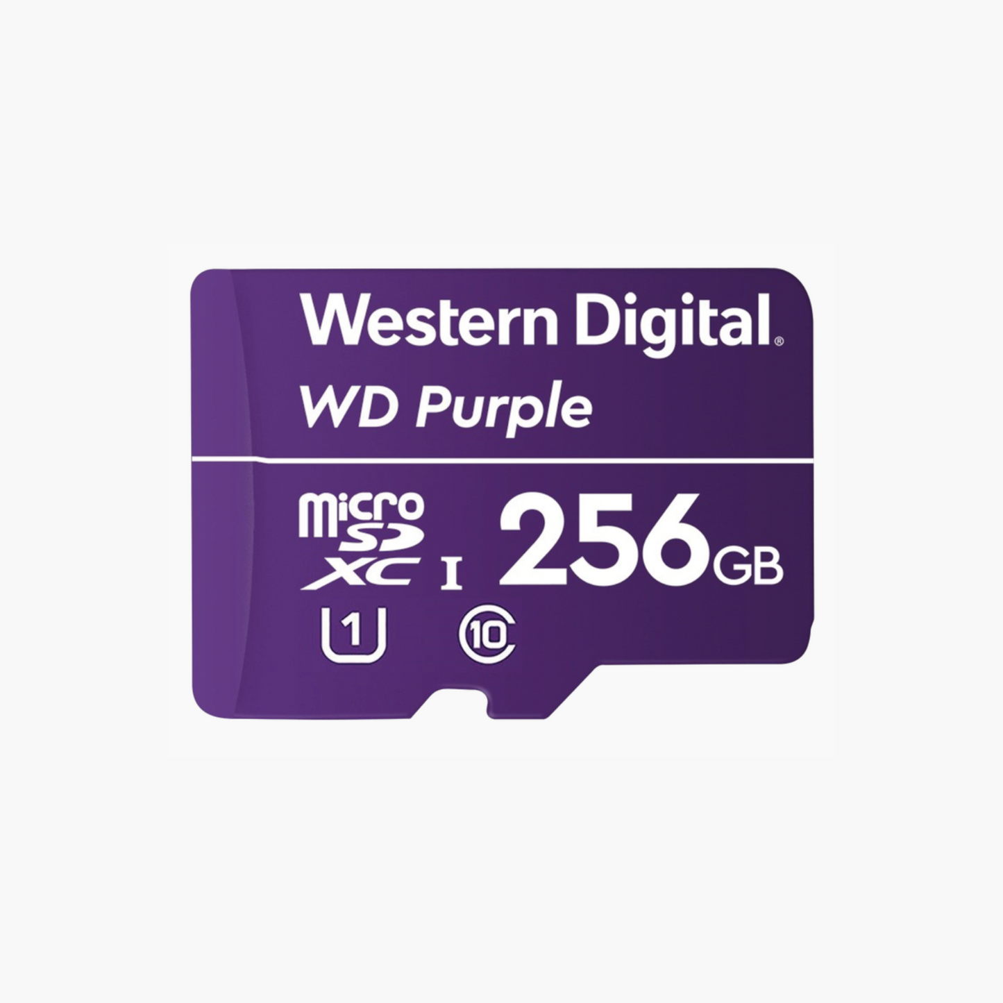 Memoria microSD Clase 10 de 256GB